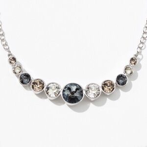 Elegant Silver and Black Necklace